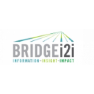 Bridgei2i Analytics